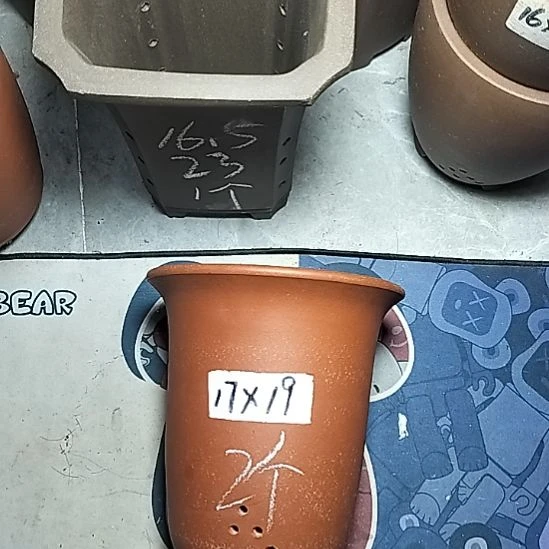 红泥小金钟两个花盆花泥