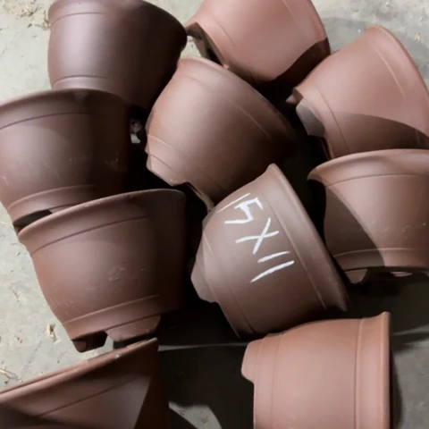 100-10。      15-11