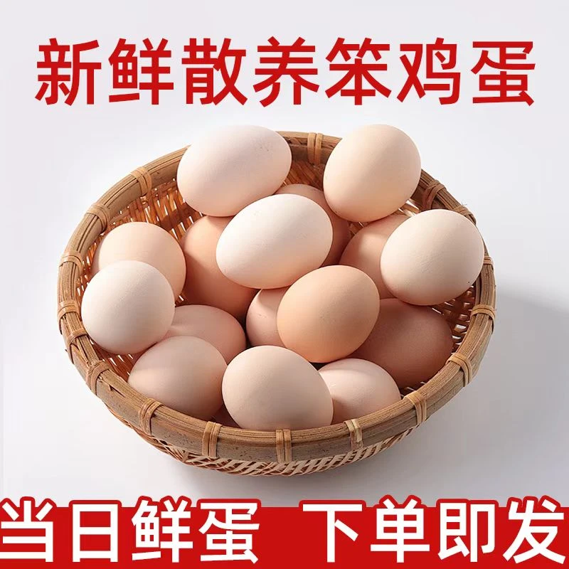 农家土鸡蛋50枚 新鲜柴鸡蛋单枚40g-50g左右土鸡蛋
