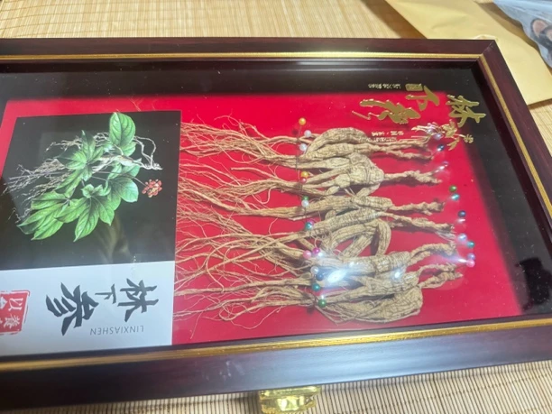 东北林下参10年籽参