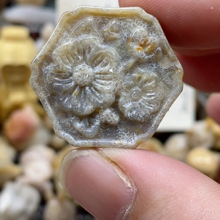 颈饰未镶嵌硅化珊瑚（珊瑚玉）小