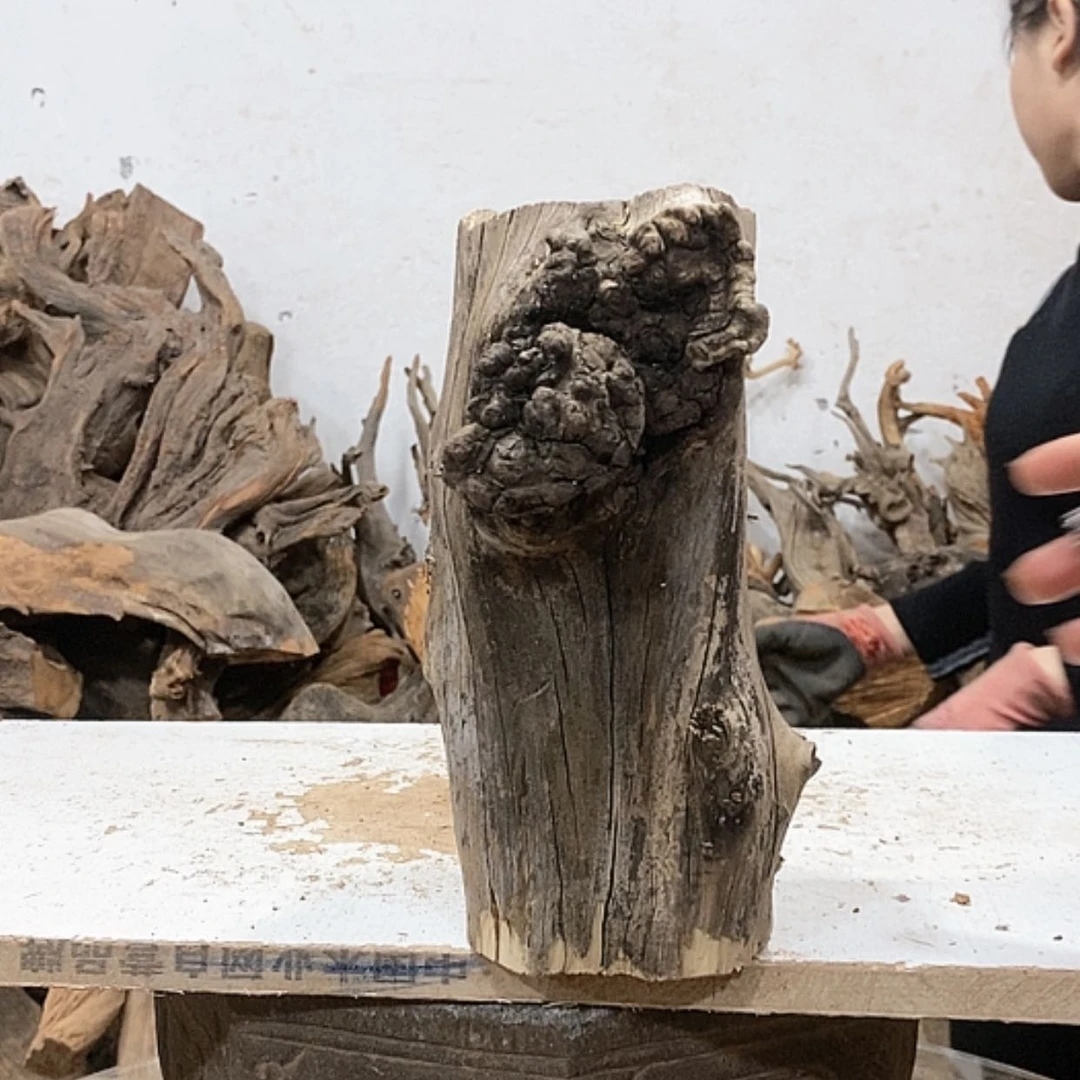 【闪购商品】柏木柏**材我们都是好孩子