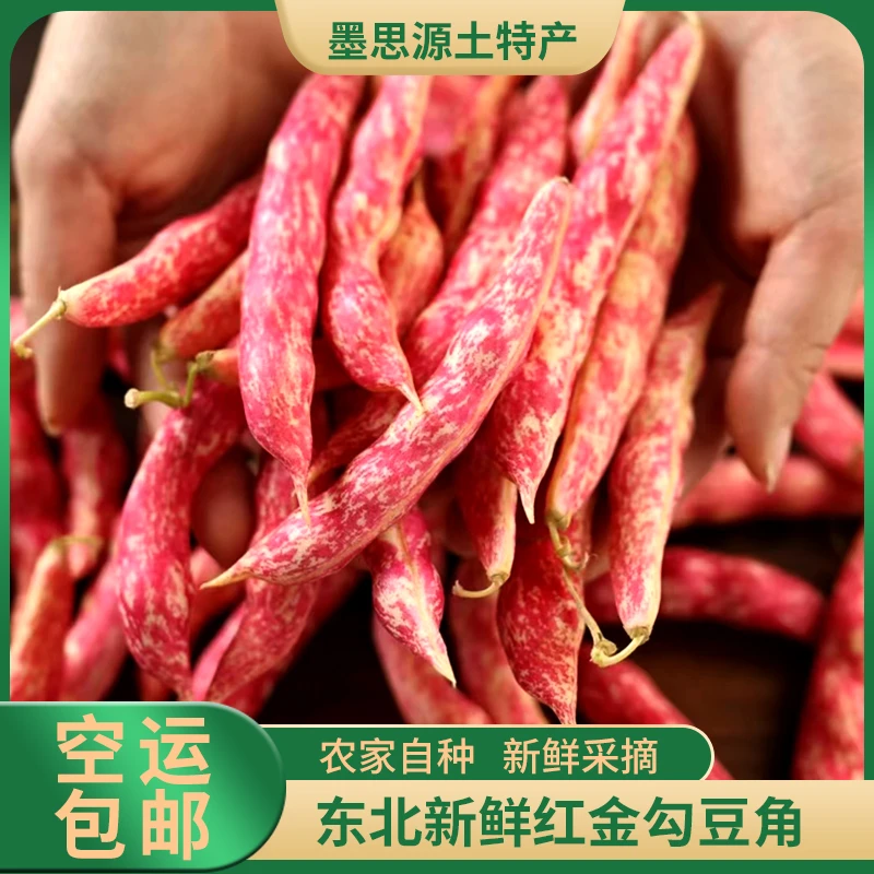 东北红金勾豆角 新鲜红金勾豆角豆大饱满东北特产2/3斤空运包邮