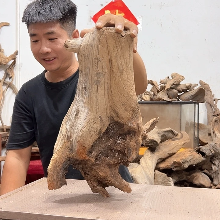 柏木小*子我们的生活是以自己为