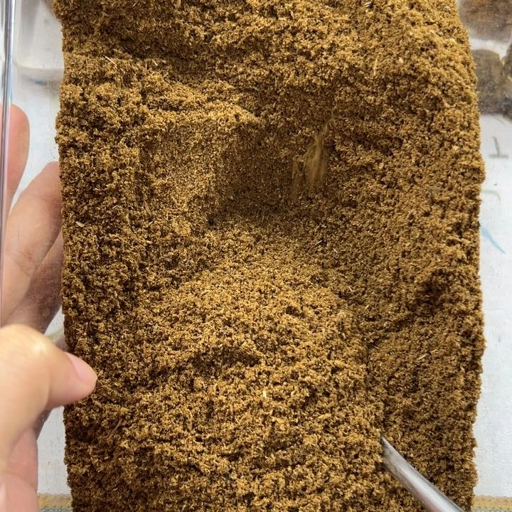 线香海南老乌身干磨粉100克