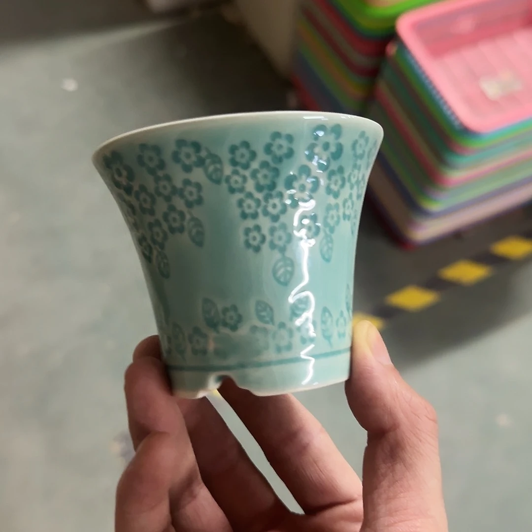 福利局绿植多肉盆［凑9元包邮24小时发］