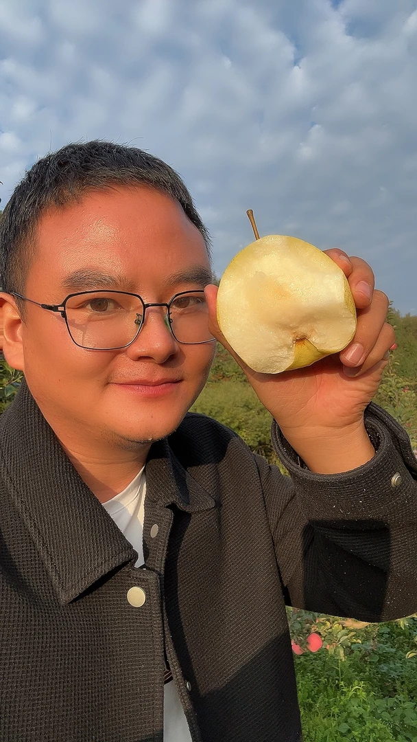 高山无渣酥梨【顺丰包邮】新鲜采摘现摘现发  爆甜酥脆多汁