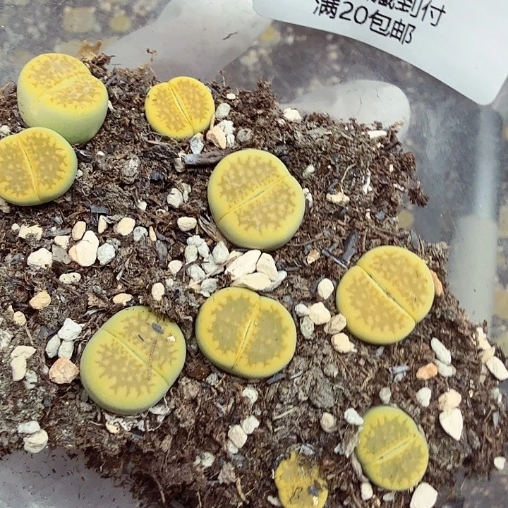 这个点吃晚饭真的有点难喝呀286