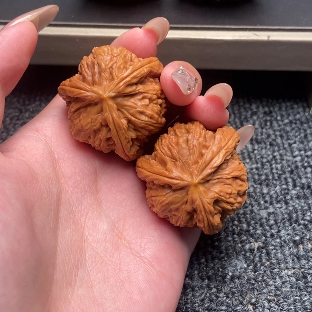 小***色木质类白狮子正奔