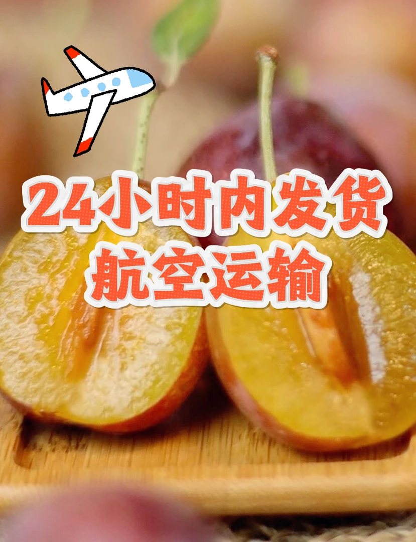 伽师新梅水果香甜多汁新鲜采摘产地直发应季净