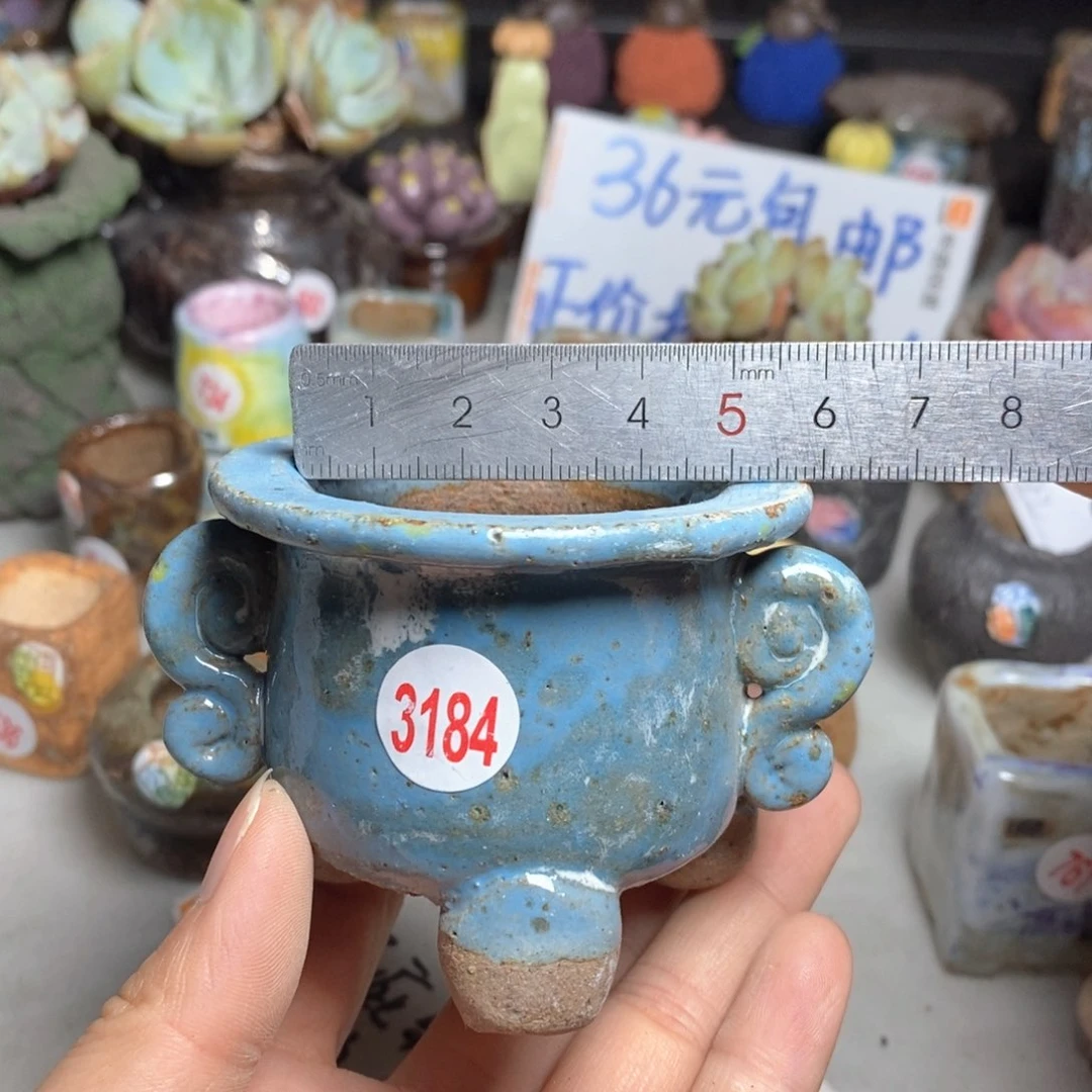 拍3送一个小礼物