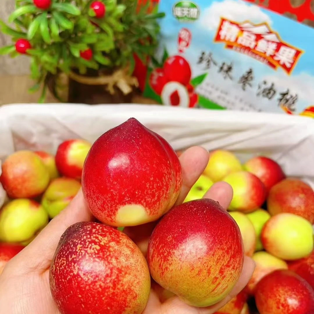 （新到枣蜜桃）3斤净嘎嘎好吃，包邮到家当季新鲜水果桃子辽宁省