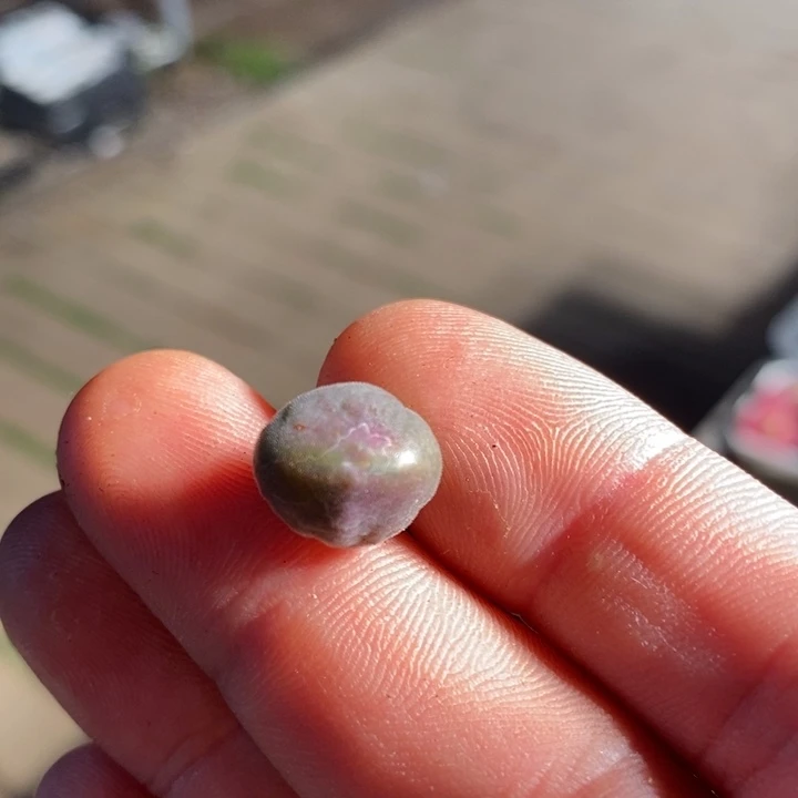 18262一个一个一个