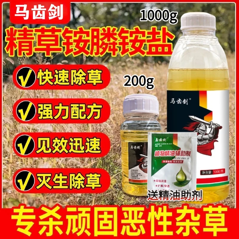 马齿剑精草铵膦铵盐果园茶园田埂荒地用水花生芦苇草除草剂烂根剂