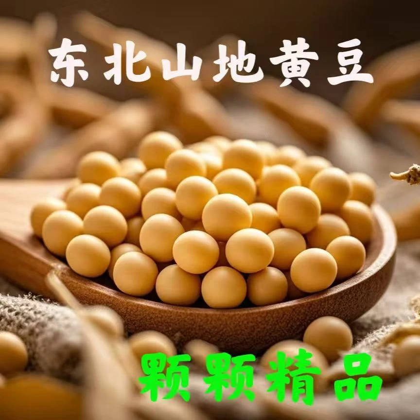 东北依兰农家黄豆支持试吃50g