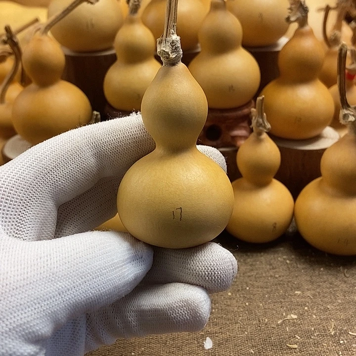 文玩葫芦 完美主义者 慎拍17