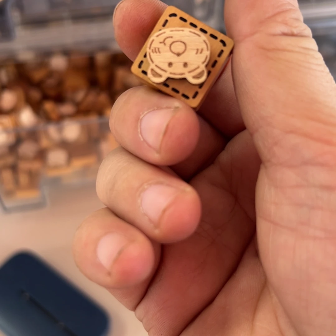 只买单纯的吊坠，没带链子，属的性质。