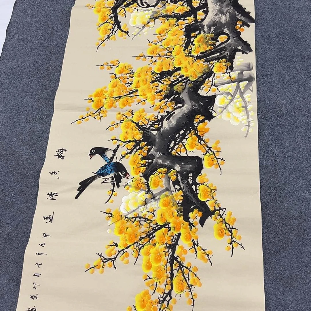 新号开播领福利了