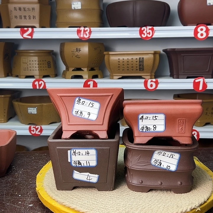 紫砂花盆你在一起