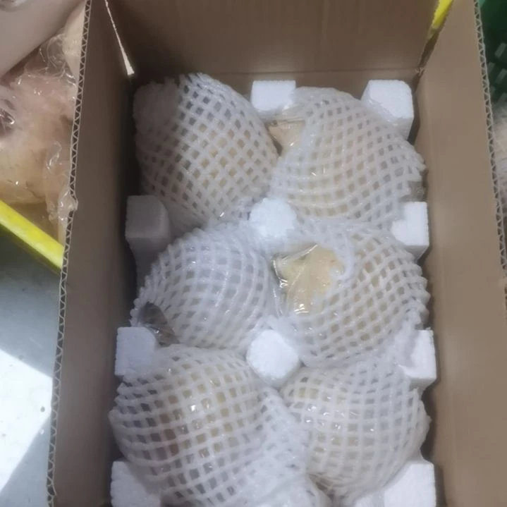 硬籽石榴产销直联，好品质，会说话。