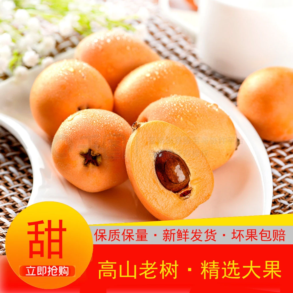 ❥❥❥❥【50g起步】四川文宫老树大五星枇杷应季水果高山老树枇杷新鲜