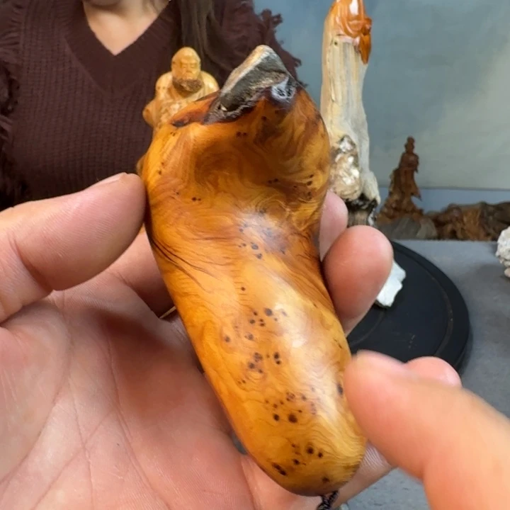 柏木（崖柏）太行崖柏