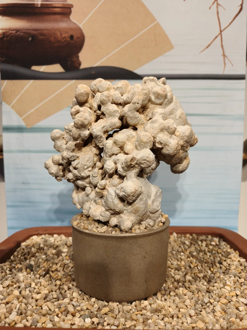 湘西紫玲珑奇石，稀有珍品，极具收藏价值，家居装饰、办公摆件。