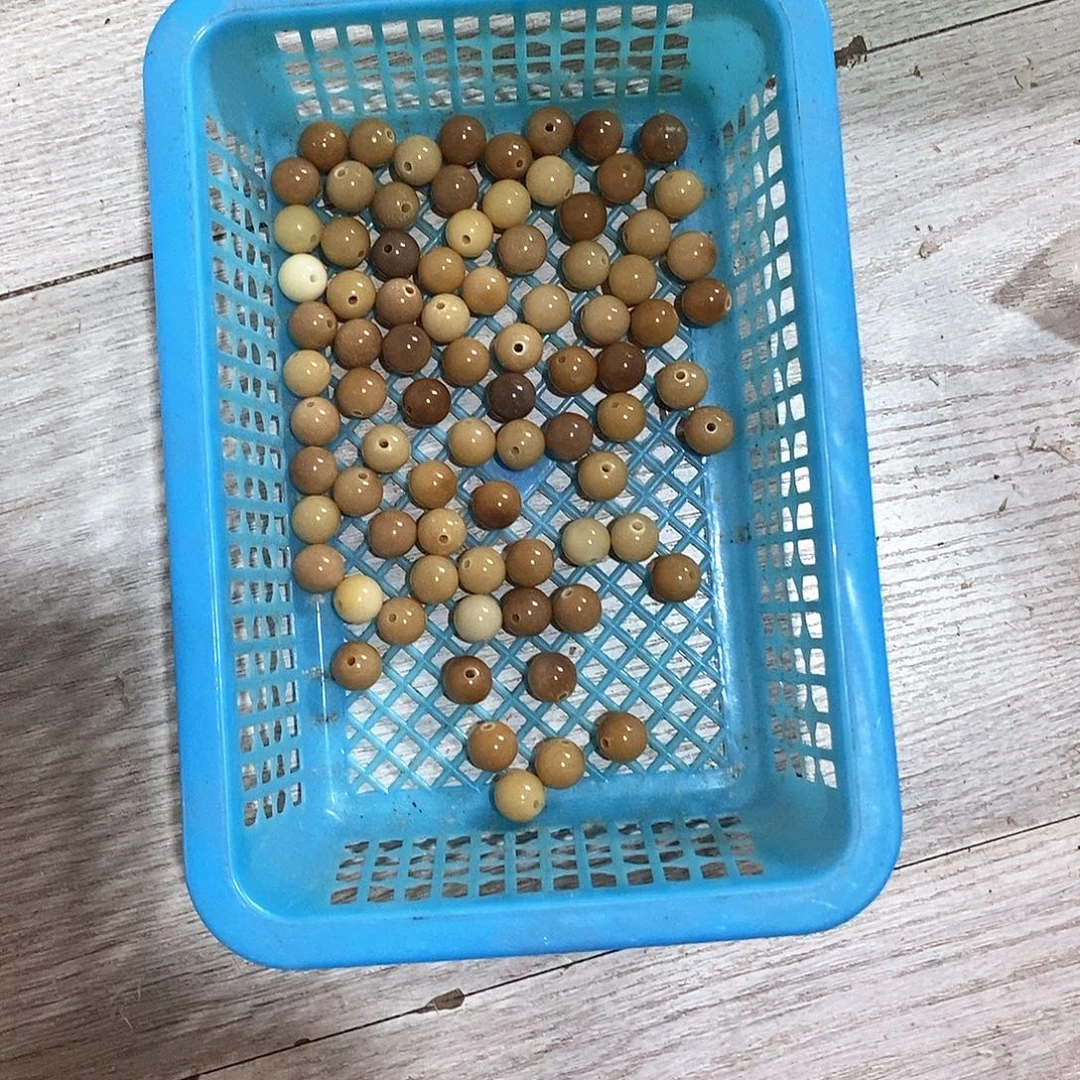 吊坠菩提根/象牙果