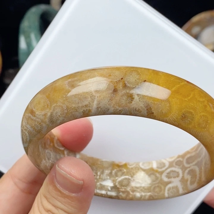未镶嵌手镯（圆镯）硅化玉61