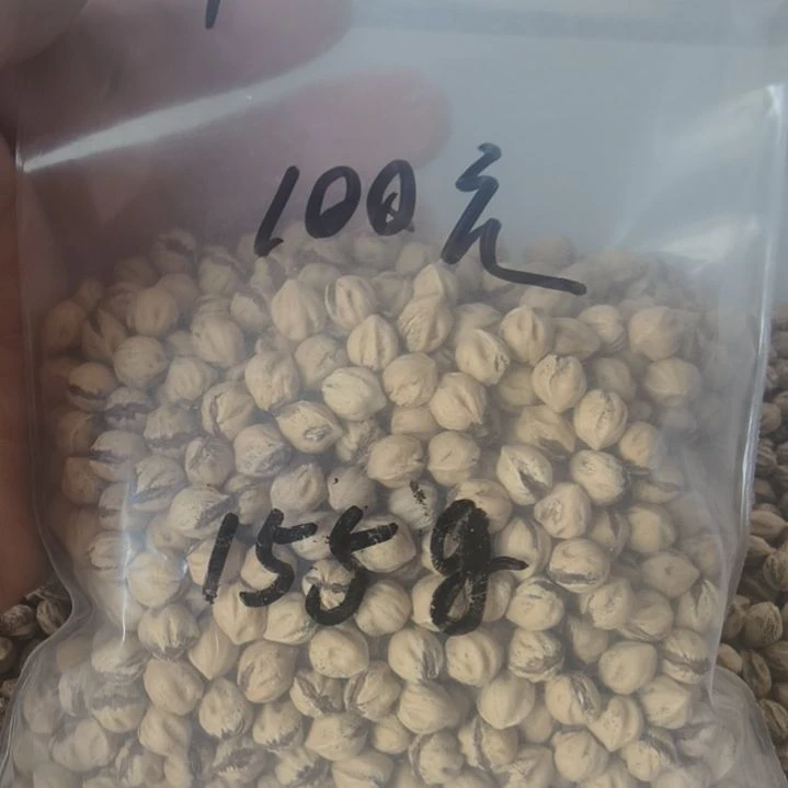 别***谁柏香籽/百香籽吊坠