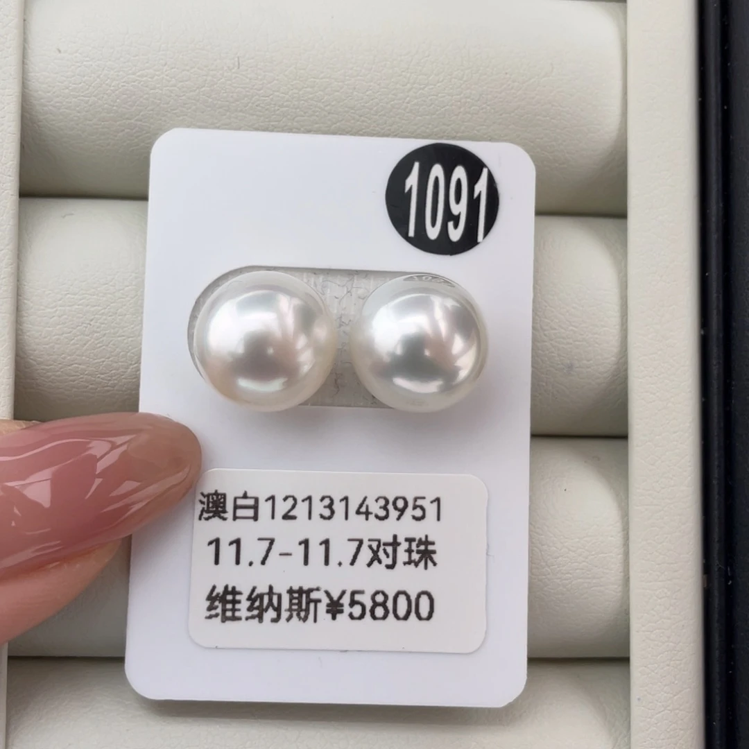 定制海水珍珠未镶嵌耳饰澳白维纳斯11.7-11.7mm