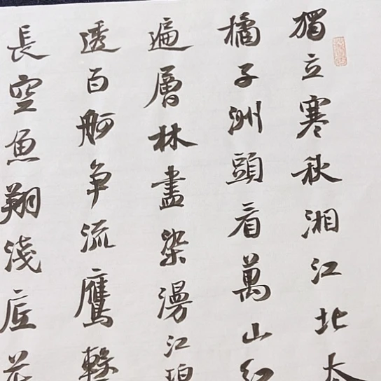 书法张建东老师书法作品