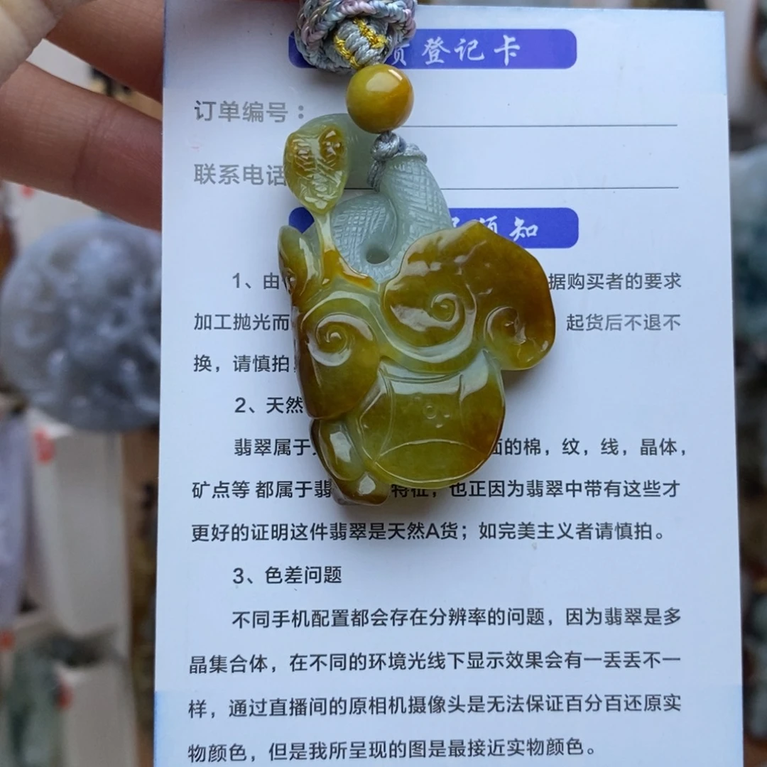 翡翠未镶嵌颈饰蛇