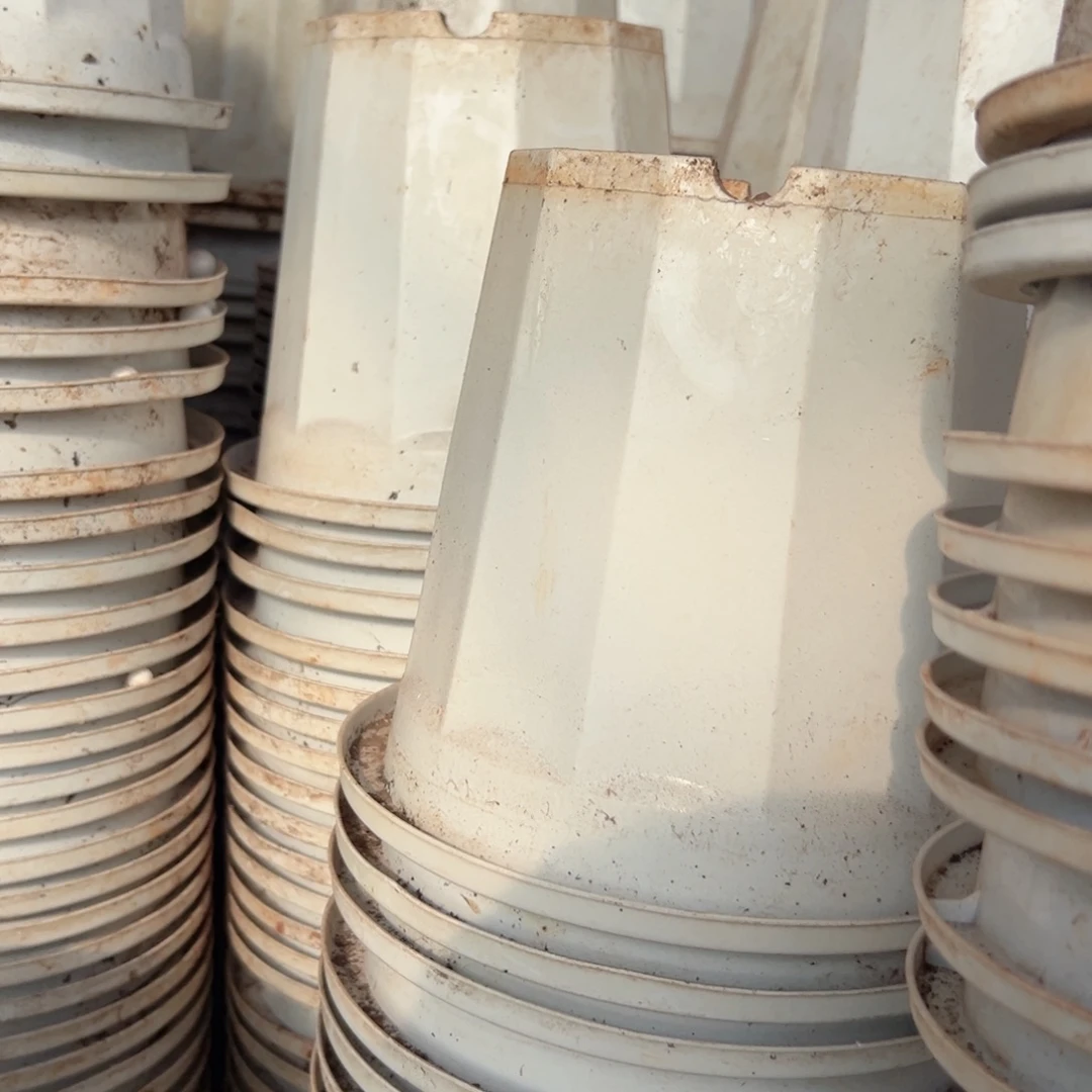 罗马柱盆22口径19高 5个