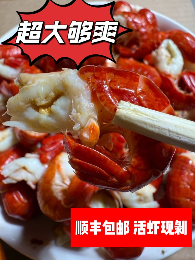 （顺丰包邮）无冰衣2025年新虾湖北活虾现剥清水虾特级大号3斤包邮
