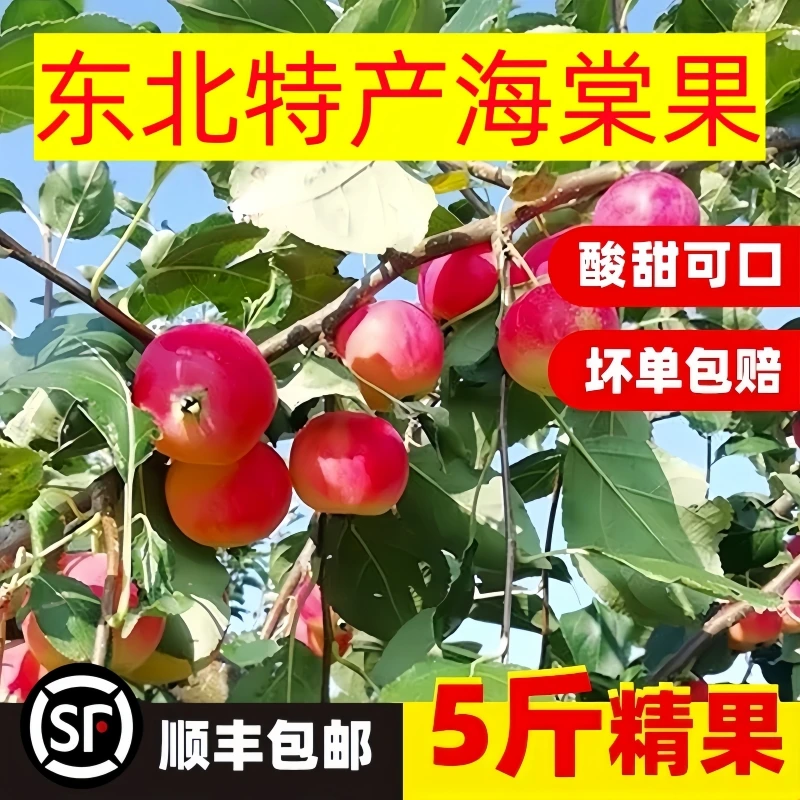 东北特产海棠果新鲜k9沙果酸甜可口应季水果爽脆冰糖心海棠花红果