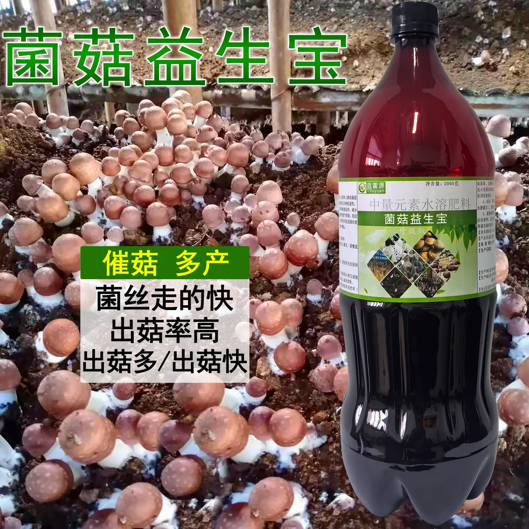 益富源巴西菇营养液姬松茸专用肥料生长素微生物菌剂