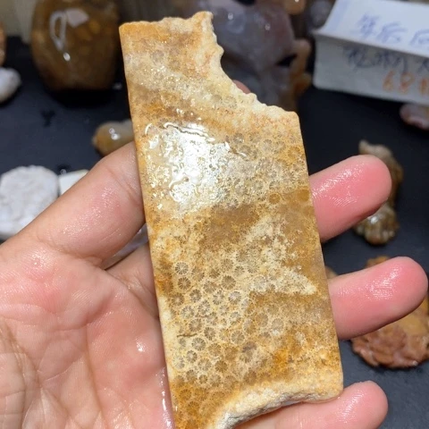 【闪购商品】硅化玉颈饰未镶嵌