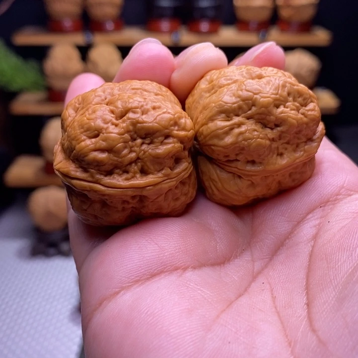 木质类云铁小平头蟾23号