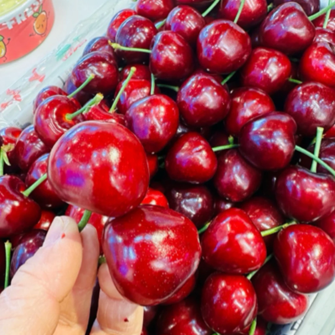 【新鲜采摘】大连美早樱桃4J大小，口感纯甜，味道好，500g/份科迪亚智利