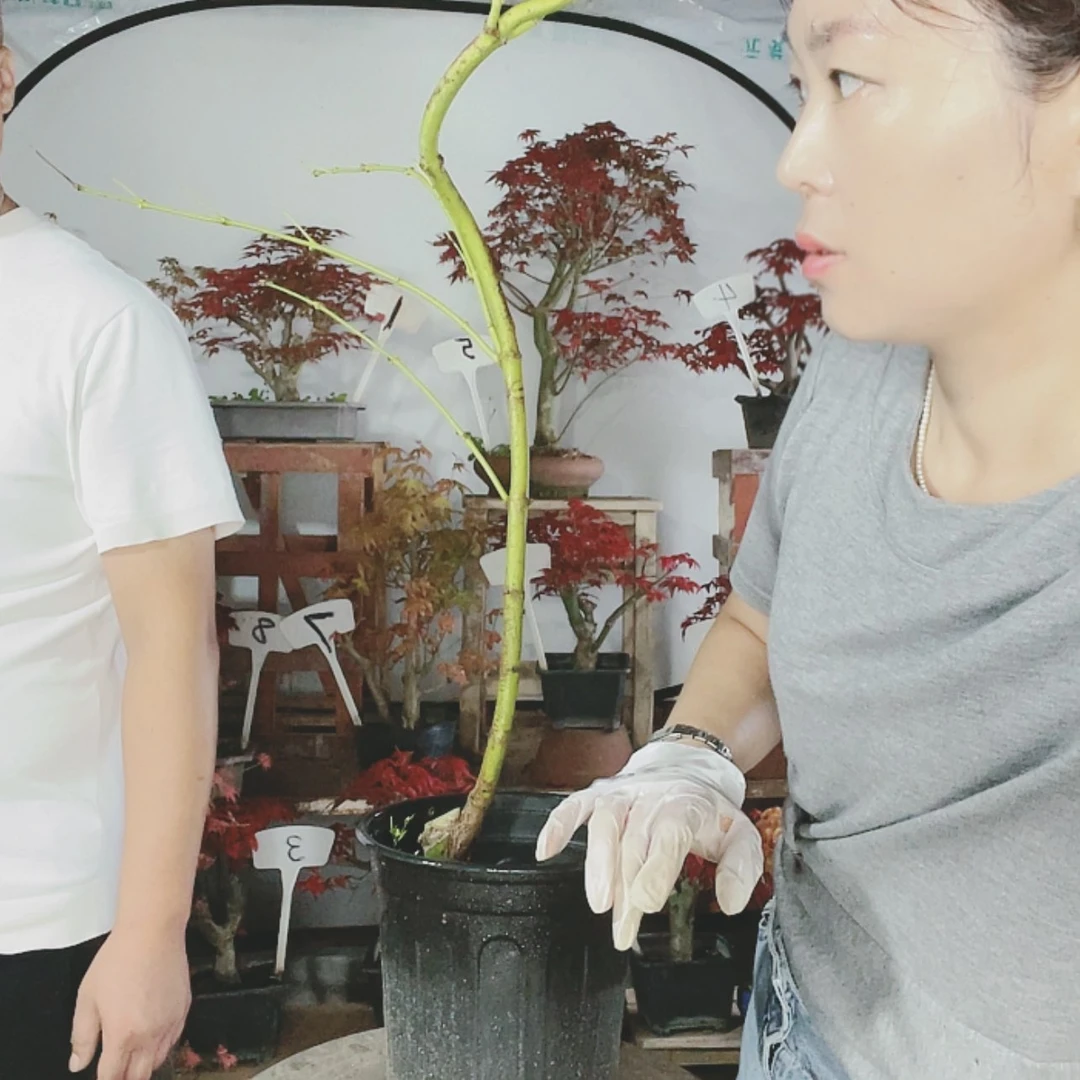 【闪购商品】完全开放三****。