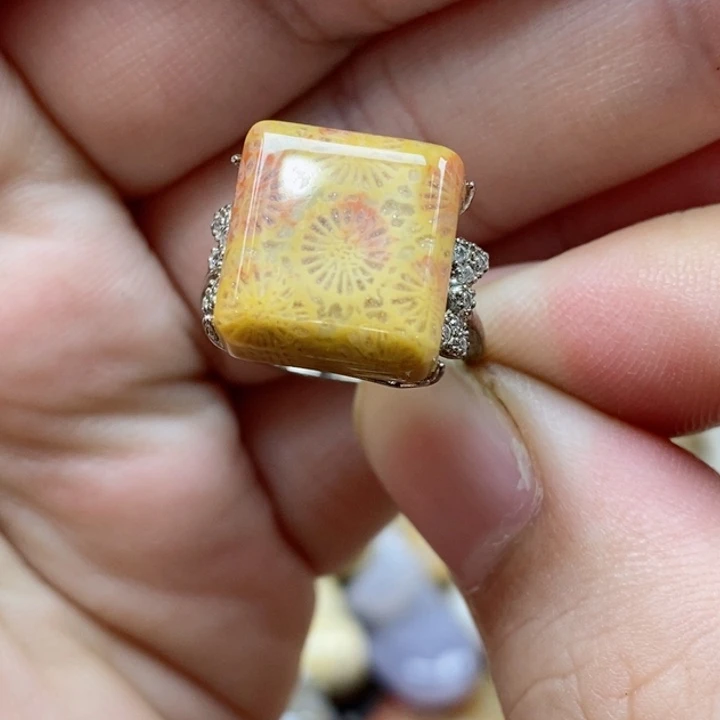 硅化珊瑚（珊瑚玉）未镶嵌颈饰