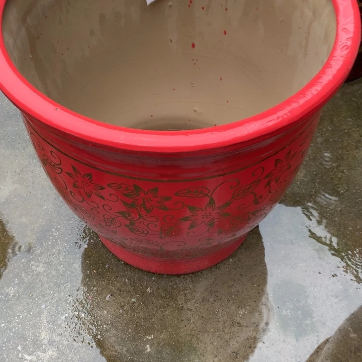 花盆里的小猫咪们都好可爱啊哈哈哈哈哈