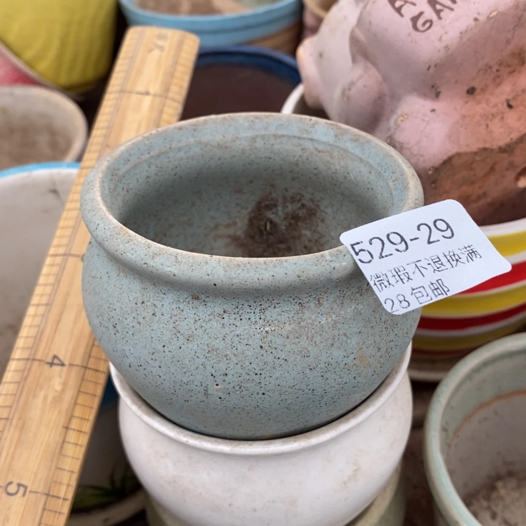 29号多肉盆口径6