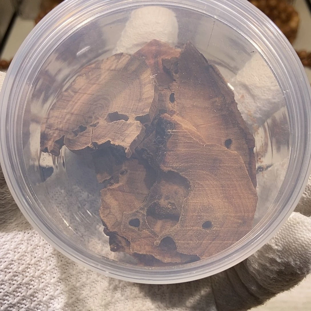 檀香木手串/手链枯木50克