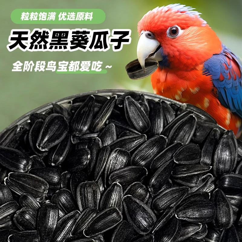 鹦鹉鸟粮饲料鸟食油葵小瓜子奖励零食鹦鹉玄凤虎皮牡丹专用鸟粮食