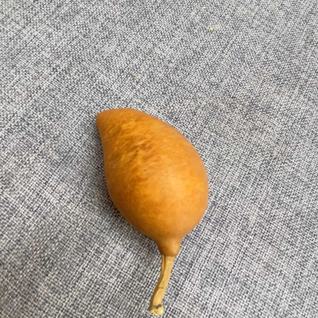 哈哈哈哈哈哈哈哈哈