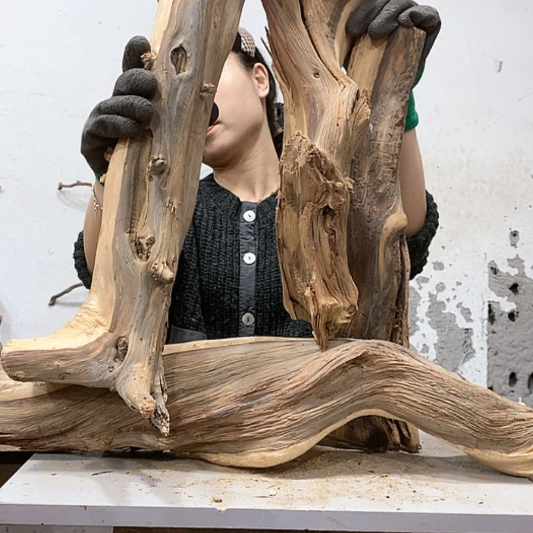 【闪购商品】柏木奇*我们都是好孩子