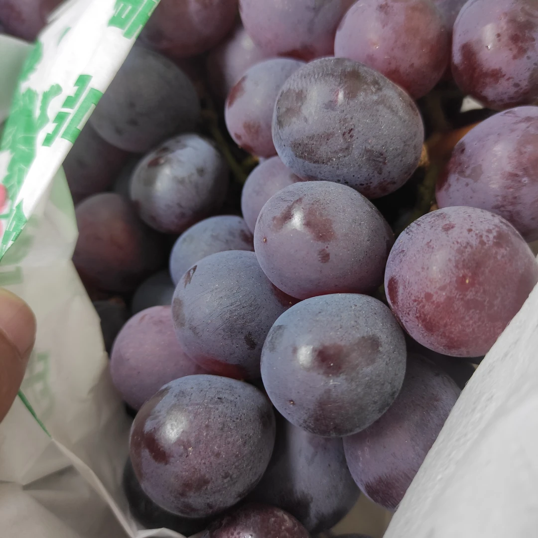 一斤【红提】同城小时达