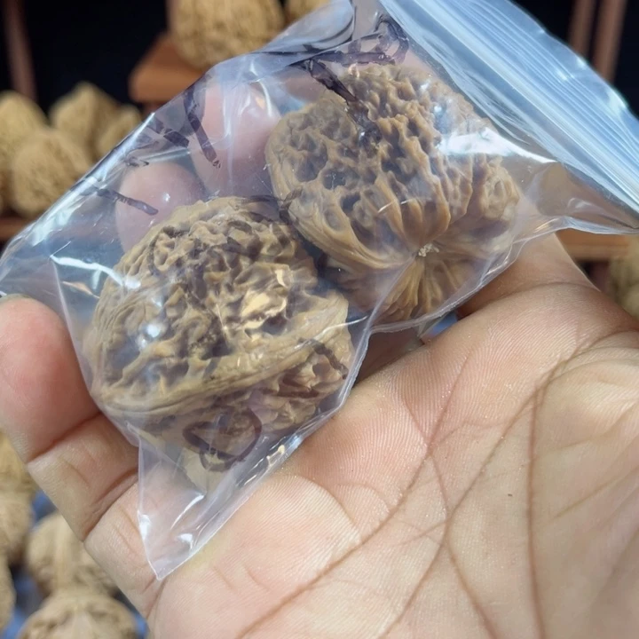 无花朵掌*宝南疆石核桃